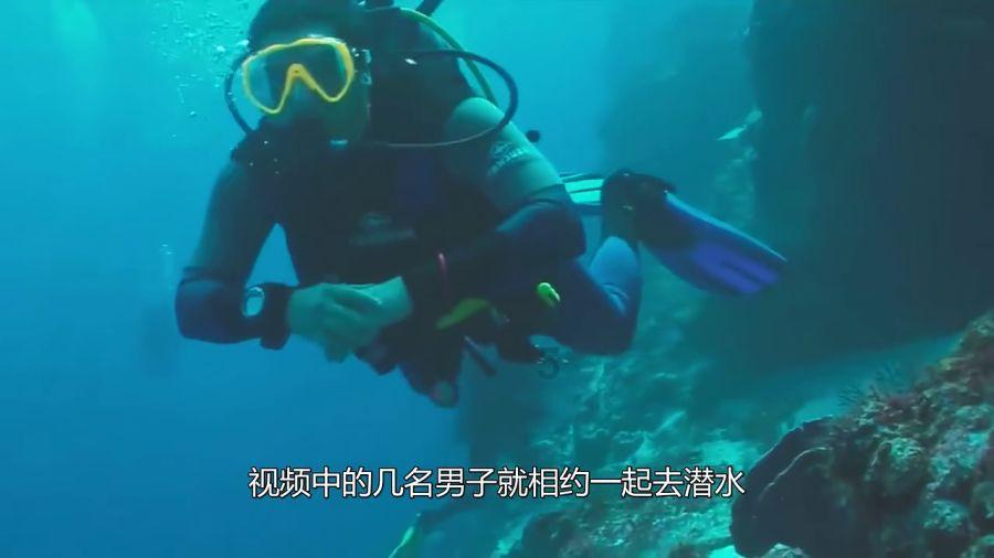 HAHA体育十年运营