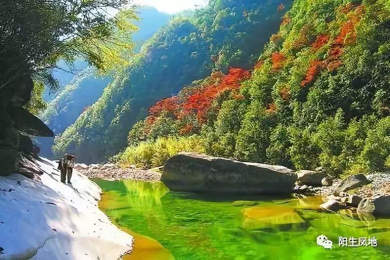 春雨直播app